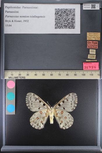 Media type: image;   Entomology 72972